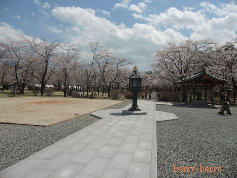 2011.5.8 聖光寺4.jpg