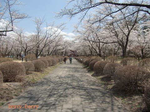 2011.5.8 聖光寺5.jpg