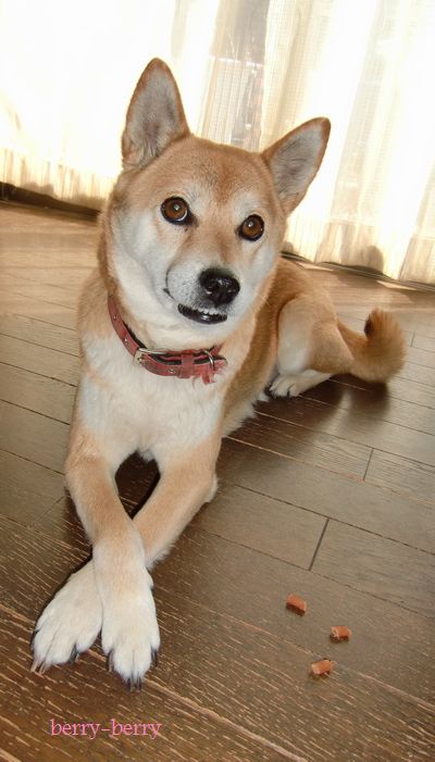 マダム・ベリーのポーズ1.jpg
